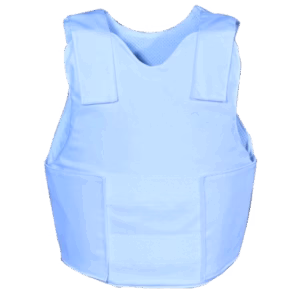 SEV-fit 024-image
