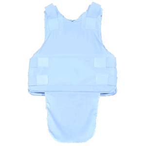 SEV-fit 001.2-image